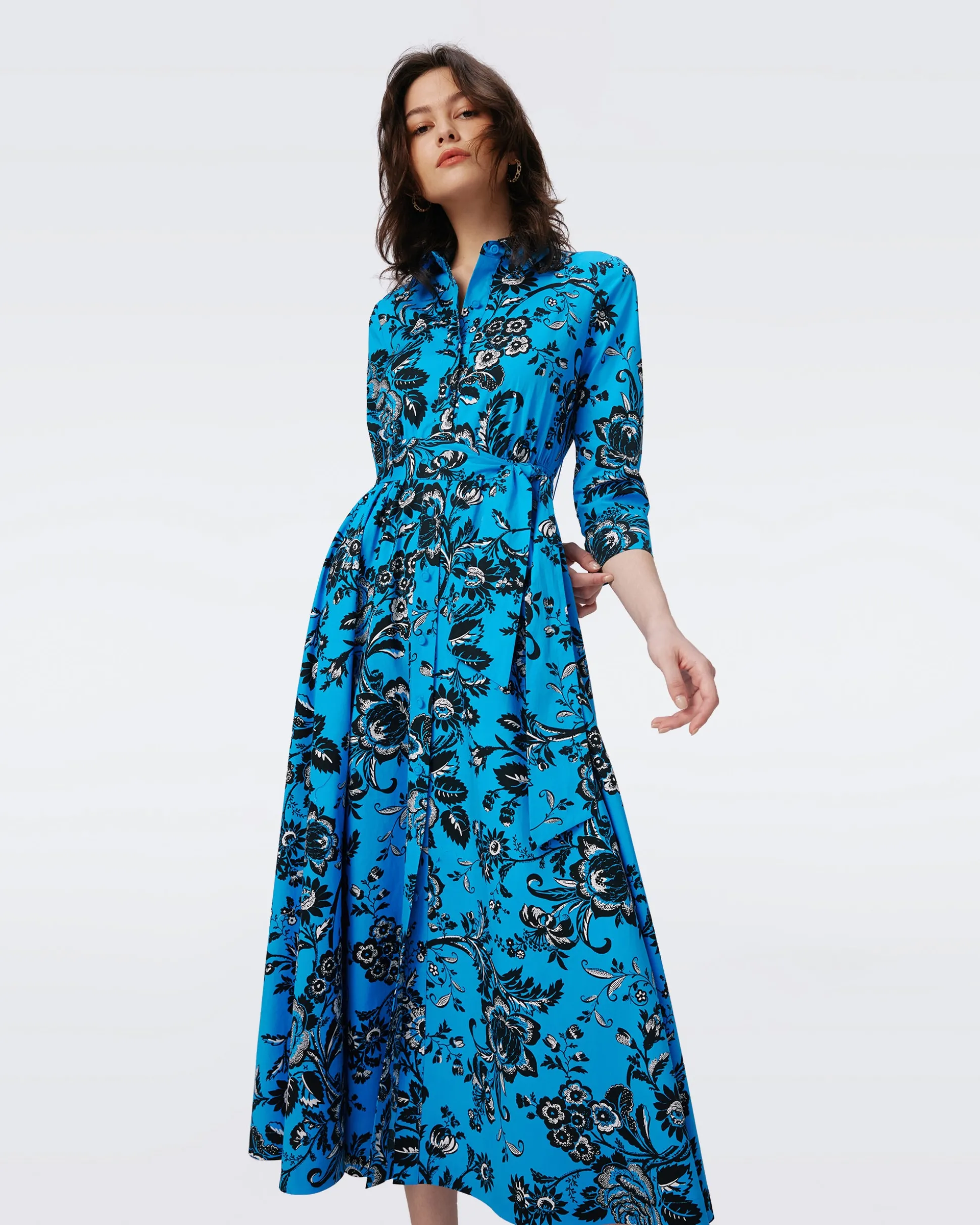 Blaine Cotton Poplin Dress