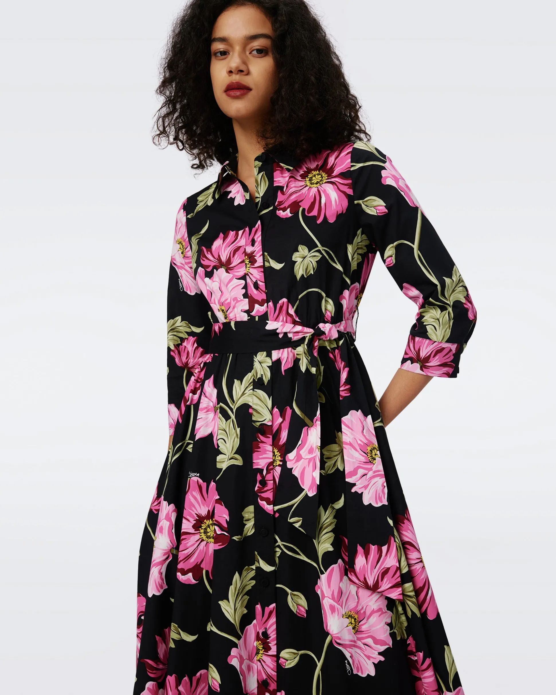 Blaine Cotton Poplin Dress